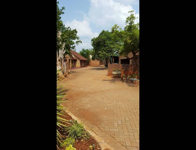 16.10HA FARM FOR SALE IN ZANDFONTEIN AH